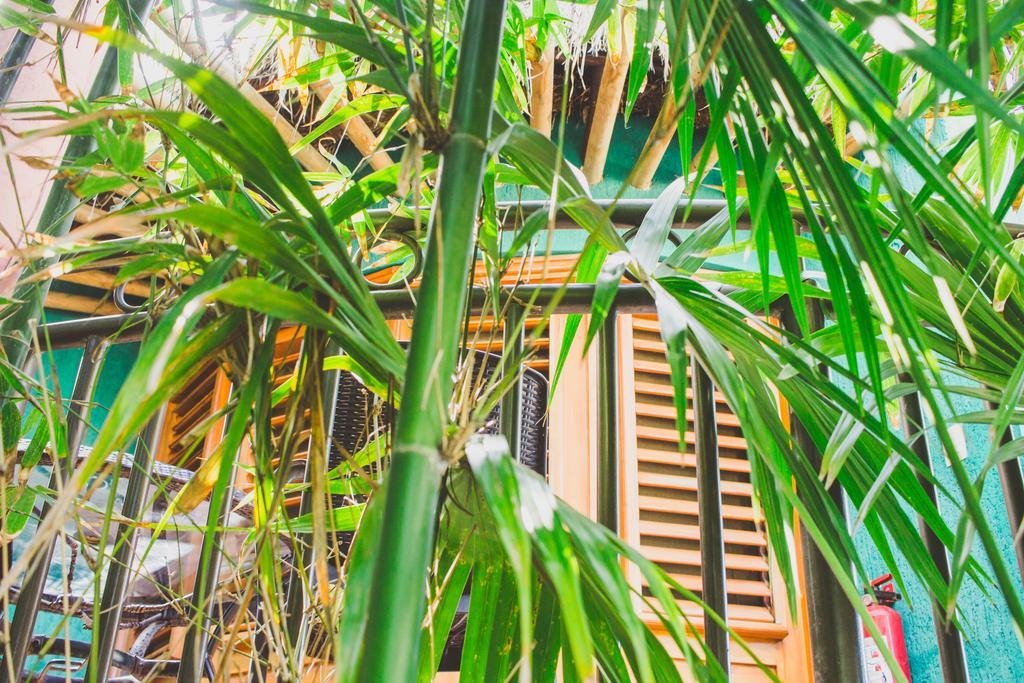 Cocos Cabanas Playa Del Carmen Adults Only Exterior foto