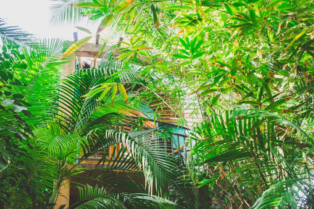 Cocos Cabanas Playa Del Carmen Adults Only Exterior foto