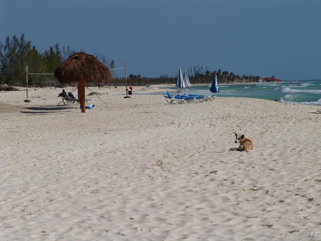 Cocos Cabanas Playa Del Carmen Adults Only Exterior foto